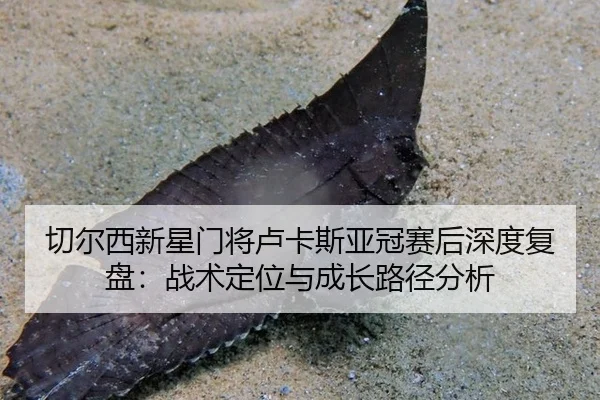 切尔西新星门将卢卡斯亚冠赛后深度复盘：战术定位与成长路径分析