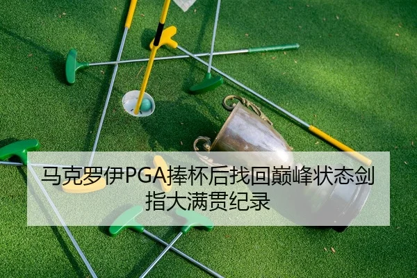 马克罗伊PGA捧杯后找回巅峰状态剑指大满贯纪录